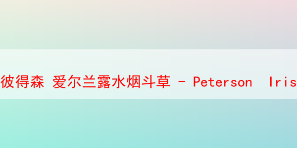 20241005-090249.png 20241005-090249.png